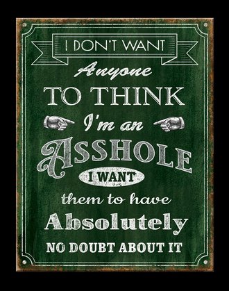 Metal Sign - I Don't Want Anyone to Think I'm An A-Hole… Metal Sign - I Don't Want Anyone to Think I'm An A-Hole…