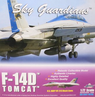 Grumman F-14D Tomcat USN VF-213 Black Lions, AJ213, USS Theodore Roosevelt, 2006