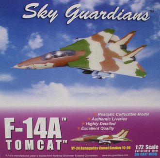 Grumman F-14A Tomcat USN VF-24 Fighting Renegades, "Camel Smoker", NAS Fallon, NV, 199